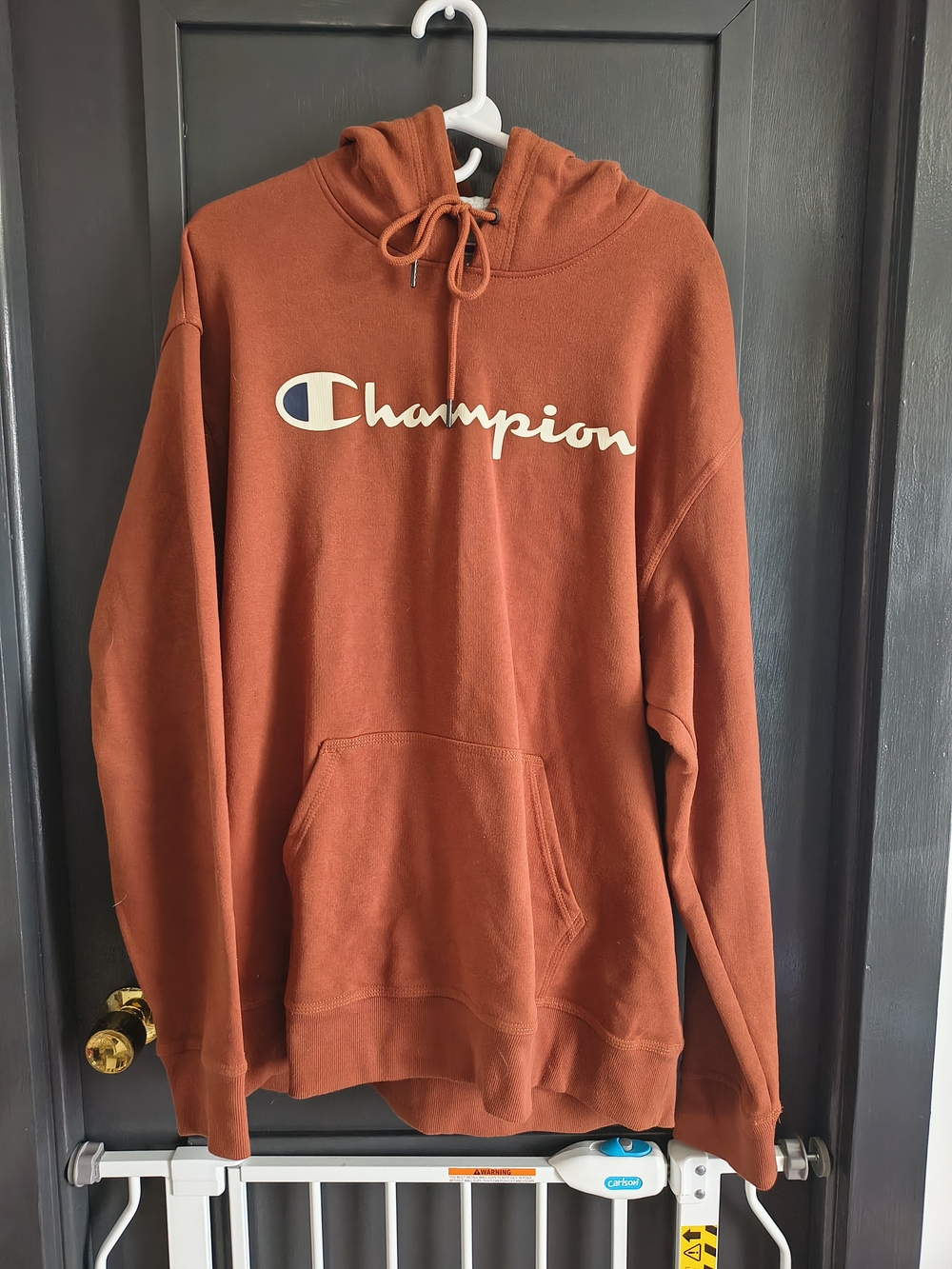 Champion Men's Rust Orange Crewneck Hoodie